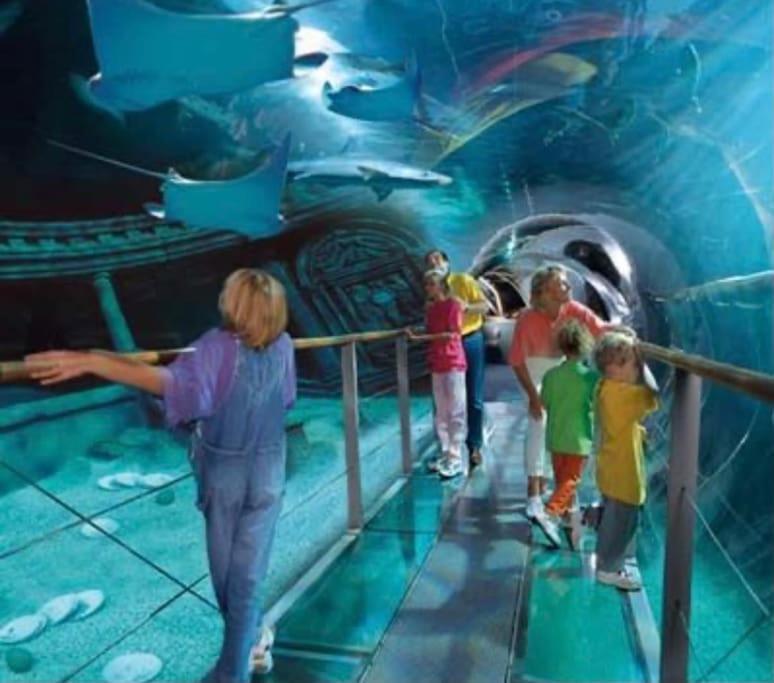 Disney Cocooning A 5 Minutes Du Parc Coupvray Exterior photo